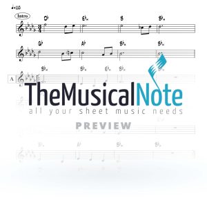 Koi Omar Hashem - Moshe Goldman