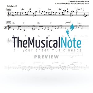 Ki Kel Melech - Moshe Tischler & Nochum Levitan